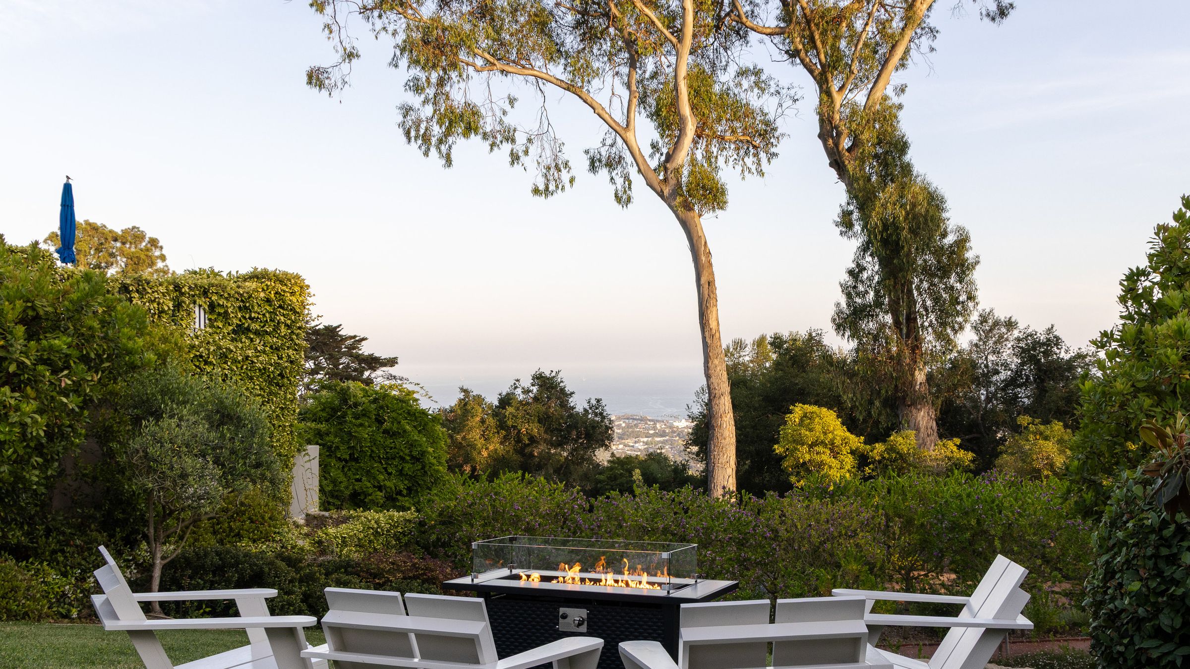 Lawn seating beneath eucalyptus trees