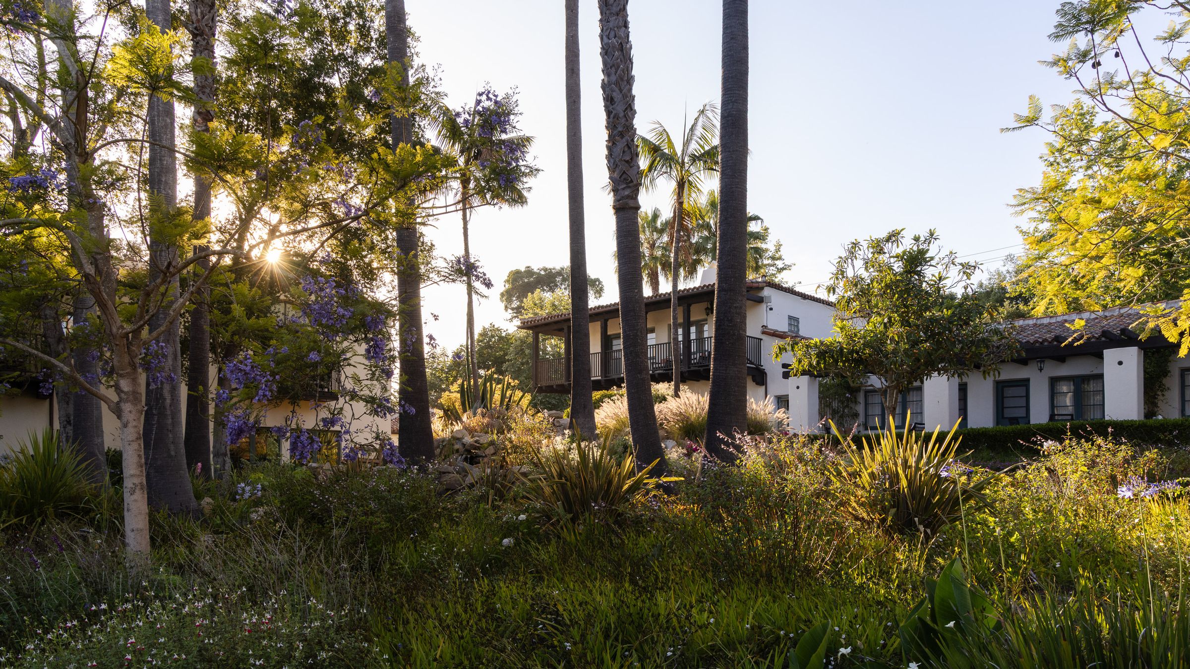 Gardens and cottages in late afternoon light